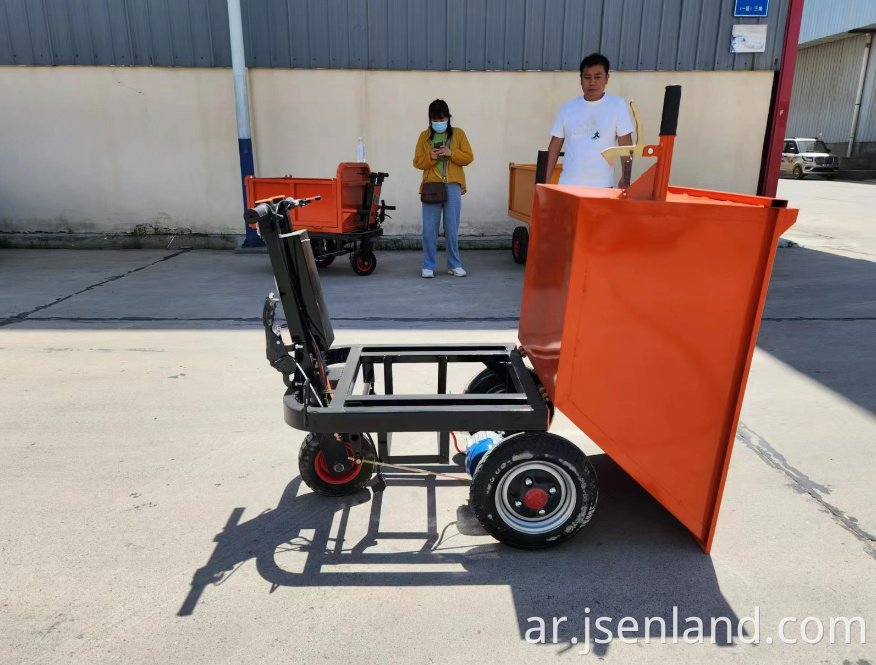 Custom Color Electric Tricycle